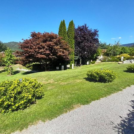 Gite De Grettery Saulxures-sur-Moselotte Εξωτερικό φωτογραφία